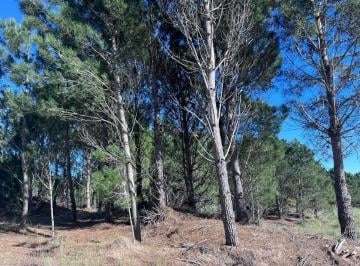 Terreno · 1086m² · Venta Lote Northbeach