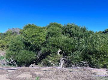 Terreno · 1270m² · Venta Lote Northbeach