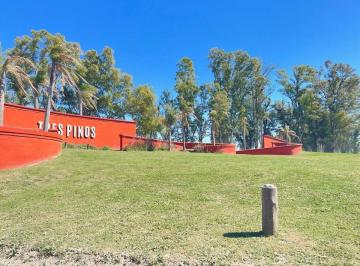 Terreno · 1000m² · Lote en Venta en Tres Pinos Villa de Campo