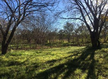 Terreno · 12000m² · Lote Terreno en Venta en Villa Elisa Entre Caminos
