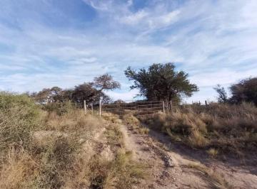 Campo · 43159ha · Venta de Chacra Uruguay y Ñandú