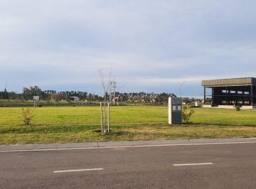 Terreno · 300m² · Terreno Ecolagos Este, Posibilidad de Permuta.