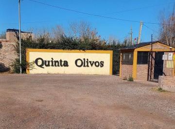 Terreno · 310m² · Venta 2 Lotes B° Quinta Olivos El Algarrobal Mza