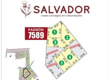 Terreno · 2000m² · Compra Tu Terreno a Usd 19.5 m²