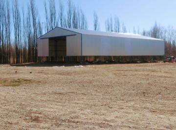 Terreno · 10000m² · Venta de Lote 1ha C/ Galpón, Ruta Interprovincial Cinco Saltos y Calle 20, Cinco Saltos, Rio Negro
