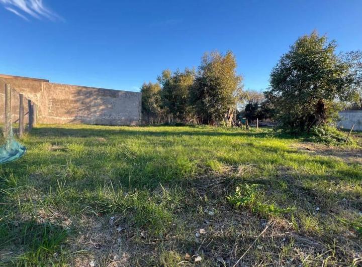 Terreno · 316m²