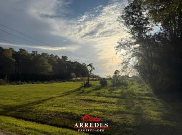 Campo , Exaltación de la Cruz · Venta · Campo de 4ha · Arbolado · Monte Hoffmann · Exaltación de La Cruz