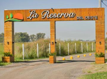 Terreno · 300m² · Venta Lote N° 259 - La Reserva del Oeste