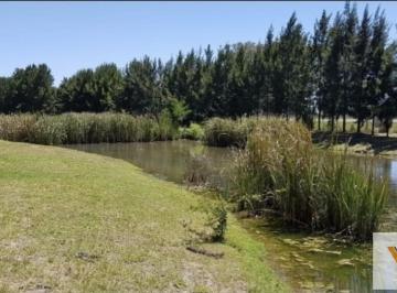 Terreno · 1379m² · Terreno en Venta - 1.379 m² - Club Miralagos