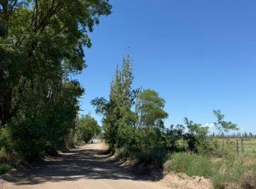 Campo · 15ha · 3 Ambientes · Finca en Villa Atuel