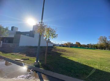 Terreno · 360m² · Lote en Venta en Campo Chico Escritura Apto Duplex Opcion Colindantes