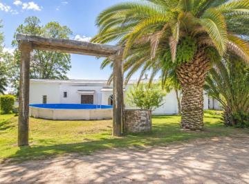 Campo · 300ha · Venta Campo 16 Ha con 2 Casas y ´pileta Suipacha