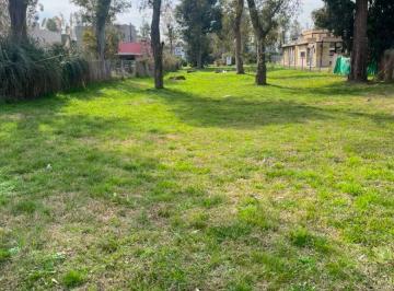 Terreno , Moreno · Lote Central Francisco Alvarez