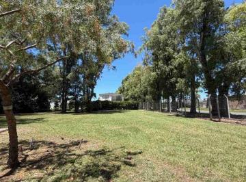 Terreno · 559m² · Lote Perimetral en Santa Elena - Pilar del Este