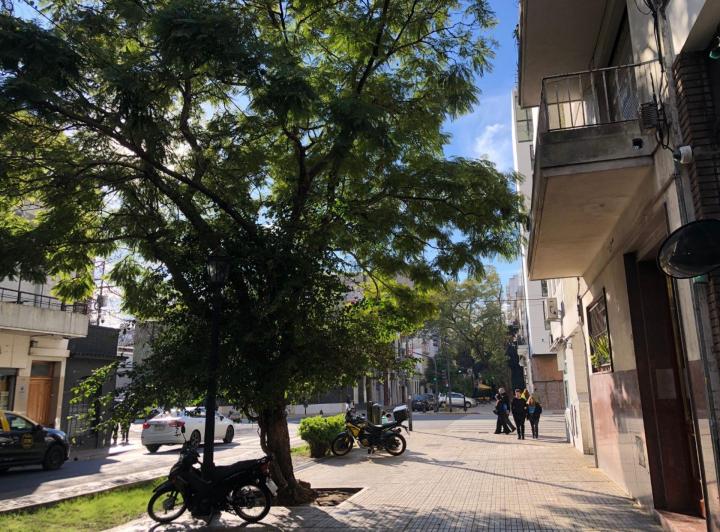 Departamento de 2 Ambientes en Alquiler San Telmo