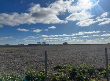 Terreno · 19ha · Campo Agricola 19ha en Mar Chiquita