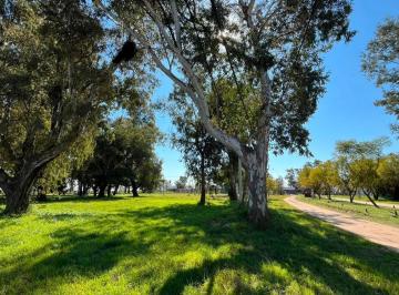 Terreno · 804m² · Lote en Venta en Aldea Setubal