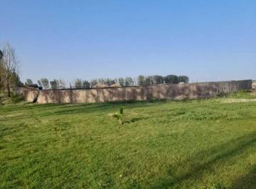 Terreno · 500m² · Loteo en Venta en La Pega, Lavalle, Mendoza. Id: