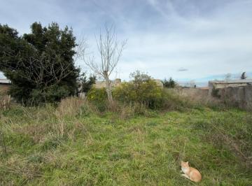 Terreno · 611m² · Terreno en Venta - - 611 m - Dolores