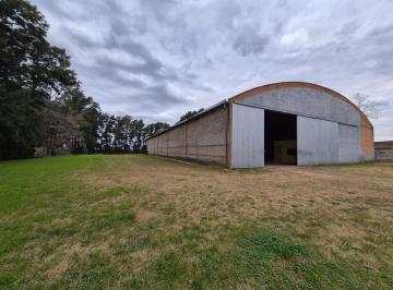 Bodega-Galpón · 1000m² · Alquiler Galpon Coronel Arnol