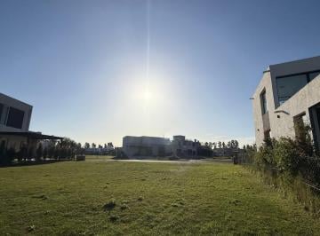Terreno · 550m² · Terreno en Santa Ana