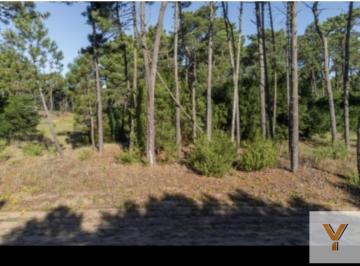 Terreno · 1040m² · Terreno en Venta - - 1040 m - Pinamar - Barrio Bosques