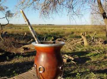 Terreno , San Javier · Venta de Terrenos/lotes