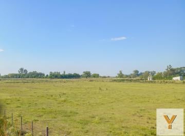 Terreno · 629m² · Terreno en Venta - 629,25 m² - Carmen de Areco