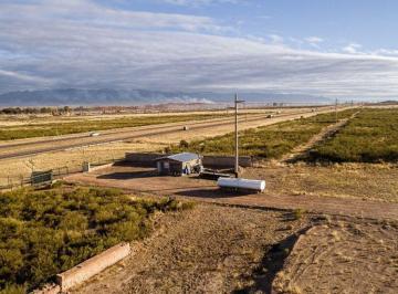 Terreno · 33843m² · Lote con Frente Ruta Nacional 40, Agrelo Lujan