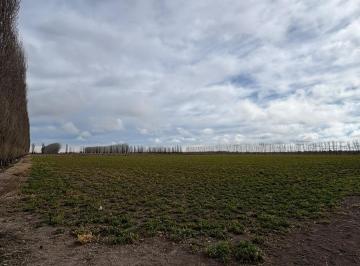 Campo · Finca 48 Ha en General Alvear