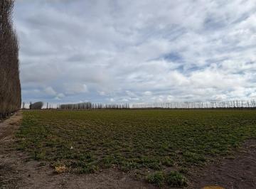 Campo · 48ha · Finca 48 Ha en General Alvear