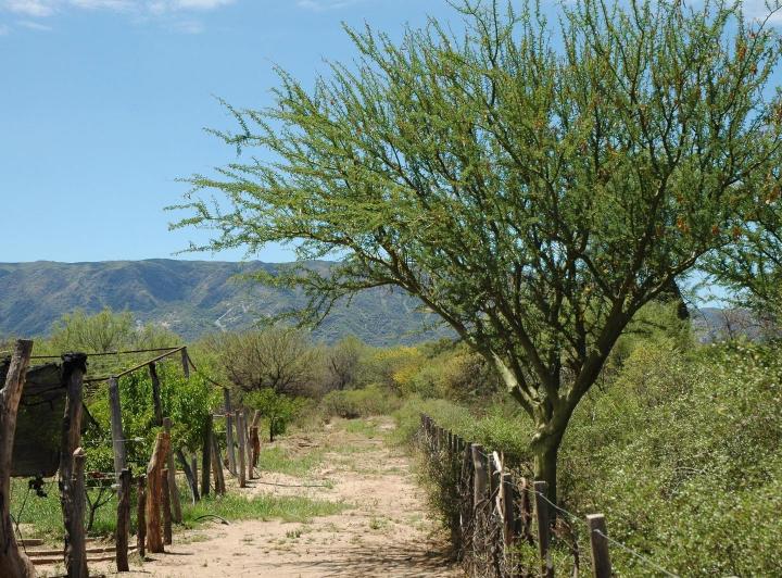 Terreno · 210000m²