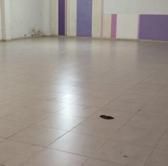 Bodega-Galpón · 225m² · 1 Ambiente