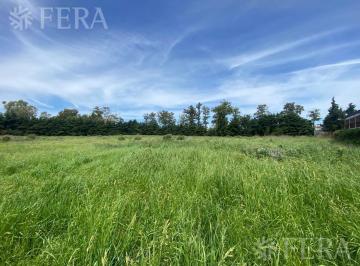 Bodega-Galpón · 26196m² · Venta de Terreno Industrial en Bosques