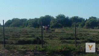 Campo · 9180000m² · Campo en Venta - 918 Hectáreas - Santiago del Estero