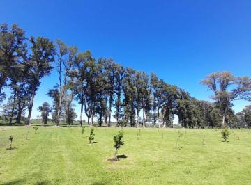 Terreno · 1123m² · Terreno en Venta - 1123 m² - Los Tres Pinos, General Rodríguez
