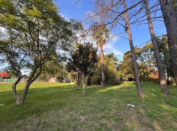 Terreno · 332m² · Lote en Venta - 487 y 137 - 329 m² - Quintas de Márquez - Escritura Inmediata