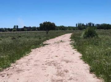 Terreno · 31833m² · Terreno en Venta - 31.833 m² - Estancia Benqueria, Monte