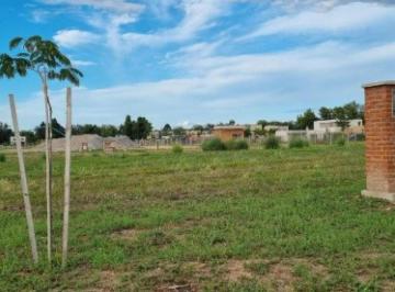 Terreno · 511m² · Terreno en Venta - 511 m² - Santa Sofía, Pilar del Este