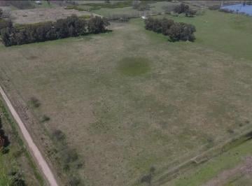 Campo · 40000ha · Campo en Venta - 40.000 m² - Las Flores