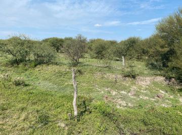 Campo · 200ha · Campo Ganadero en Fortín Olmos
