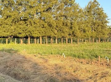 Terreno · 525m² · Venta Excelente Lote 525 m² Zapiola Lobos