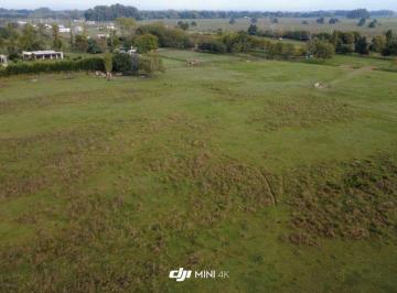 Campo · 12ha · Venta Campo 12 Ha Ex. de La Cruz Apto Loteo