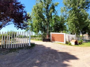 Campo · 200ha · Finca en Produccion San Martin - Mendoza