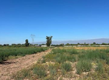 Campo · 8ha · Finca de 7,5 Ha en Colonia Segovia