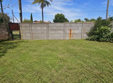 Terreno · 278m² · Venta Lote 11 X 23 m en Platanos