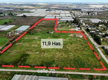 Campo · 600ha · Campo en Venta en 185 y 72. 12 Ha