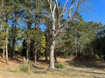 Terreno · 980m² · Lote Terreno Venta Villarobles Serena Financiacion