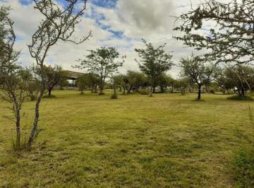 Terreno · 2820m² · Venta 3 Lotes en 1 - Bialet Massé