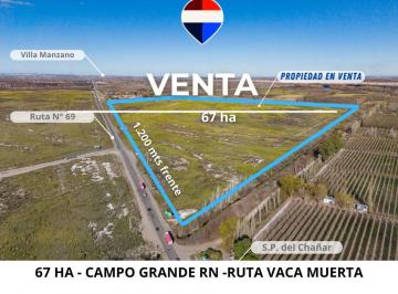 Campo · 67ha · Venta Ha Campo Grande